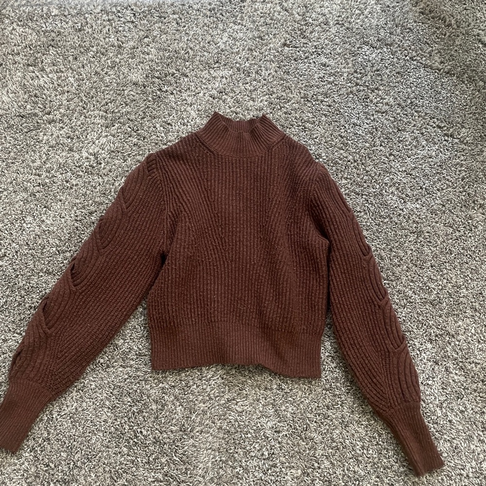 Express Chocolate Turtleneck Sweater